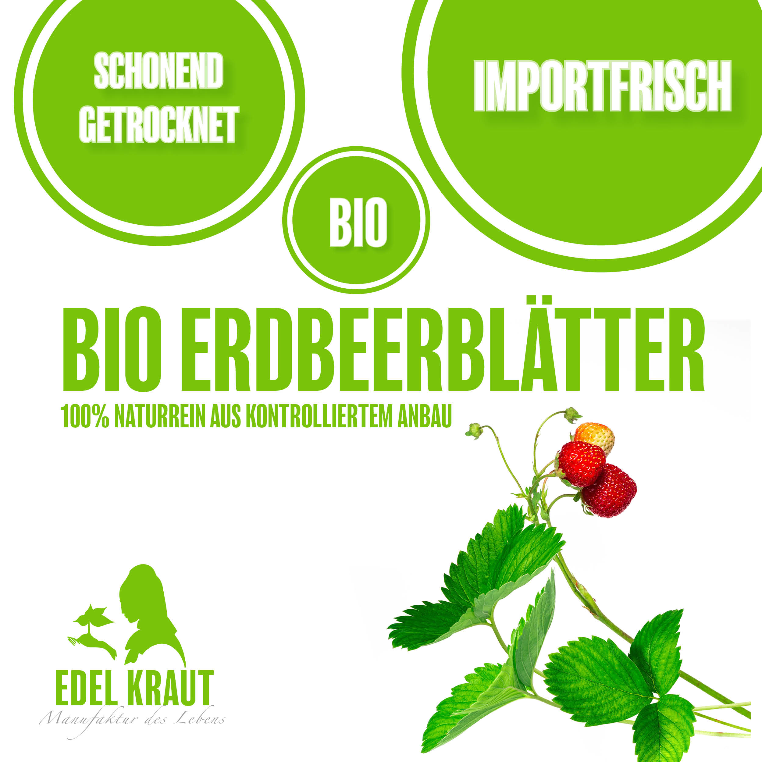 Erdbeerblätter kaufen