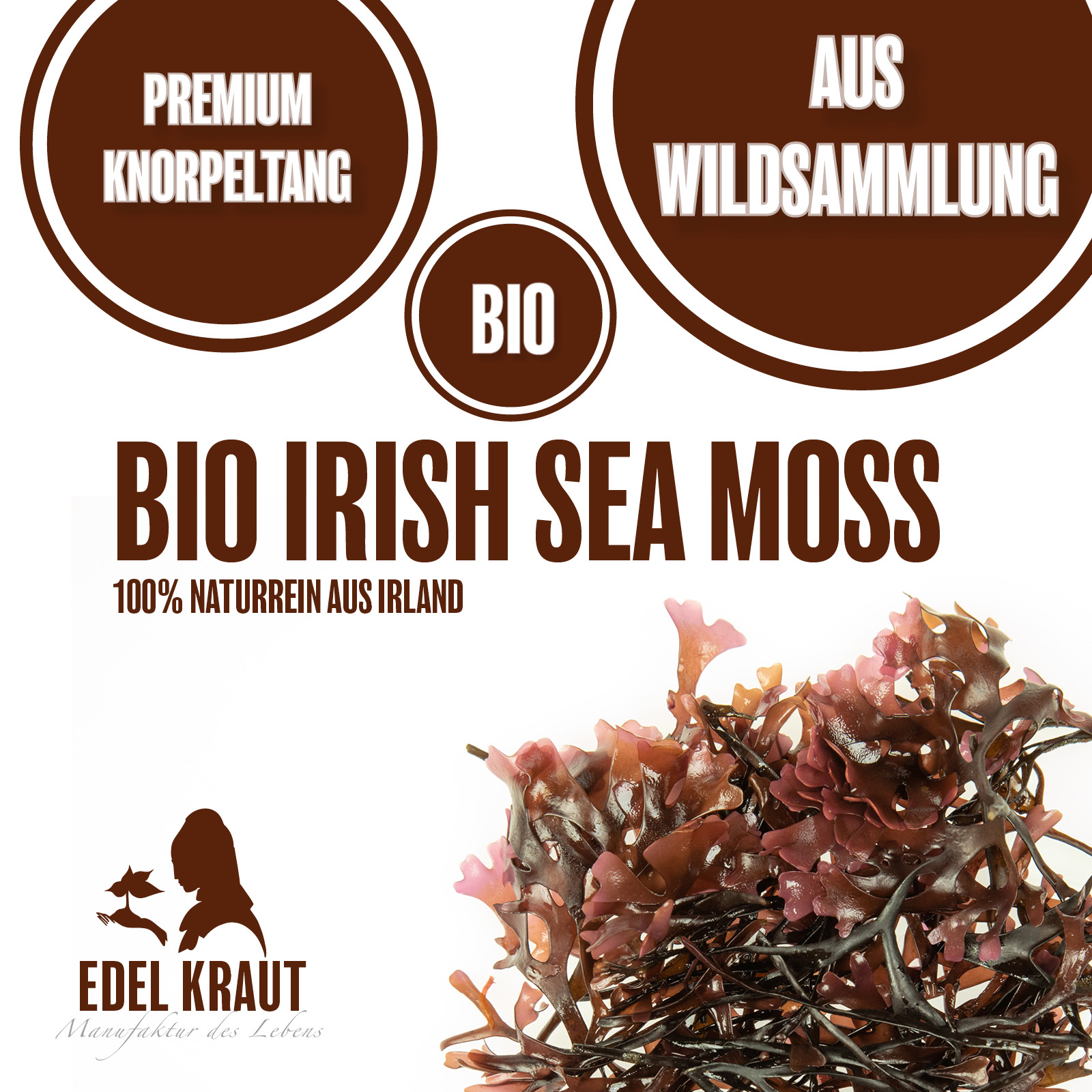 BIO Irisch Moos - Irish Sea Moss Knorpeltang (Chondrus Crispus) 250g Tüte Irish Sea Moss von EDEL KRAUT
