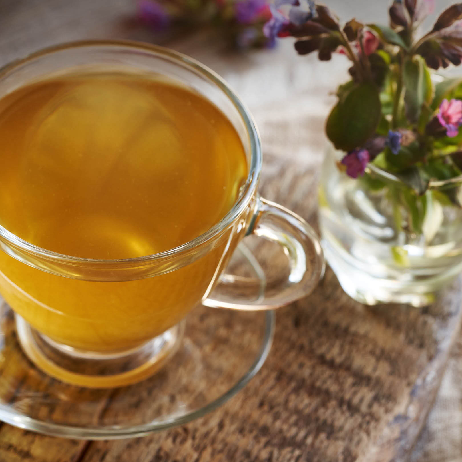 Lungenkrauttee Bio – milder Kräuteraufguss | EDEL KRAUT Lungenkrauttee Bio – goldener Aufguss im Glas von EDEL KRAUT