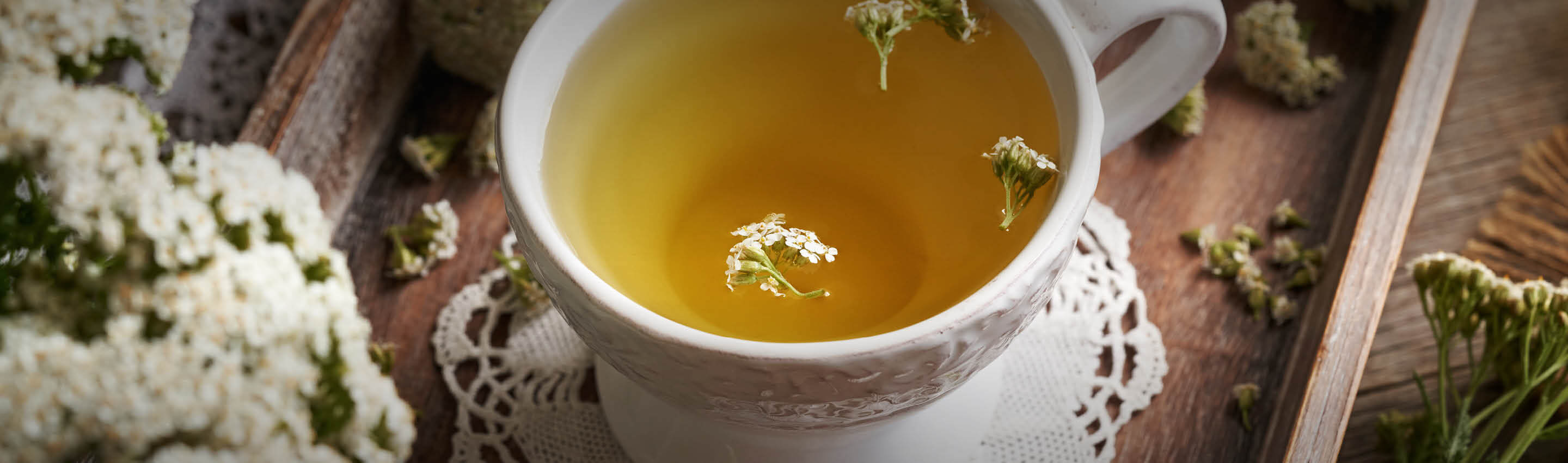 Schafgarben-Tee Bio – frisch aufgebrüht und naturbelassen Frisch aufgebrühter Schafgarben-Tee in Glaskanne mit Kräuterblüten – naturbelassen und handverlesen