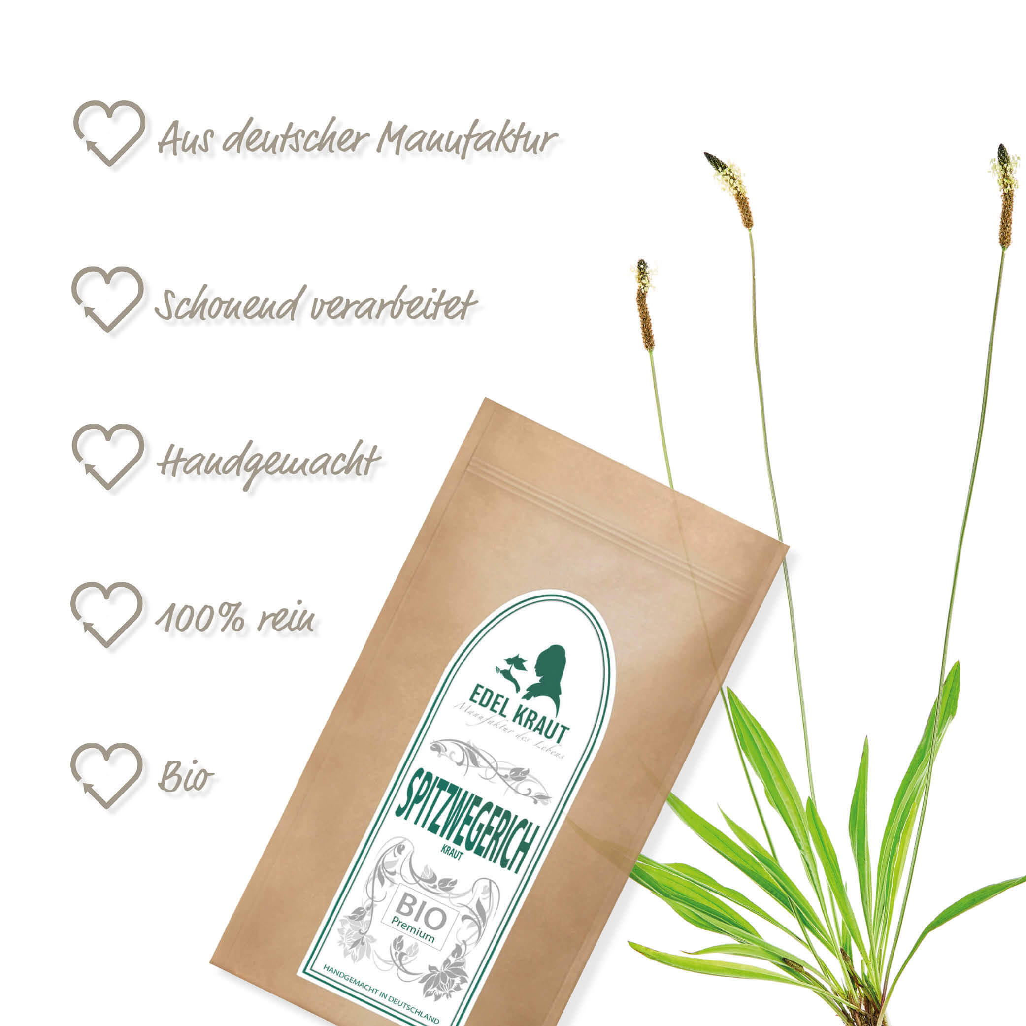 BIO Spitzwegerich Tee | Spitzwegerichkraut 100g Tüte BIO Spitzwegerich Tee
