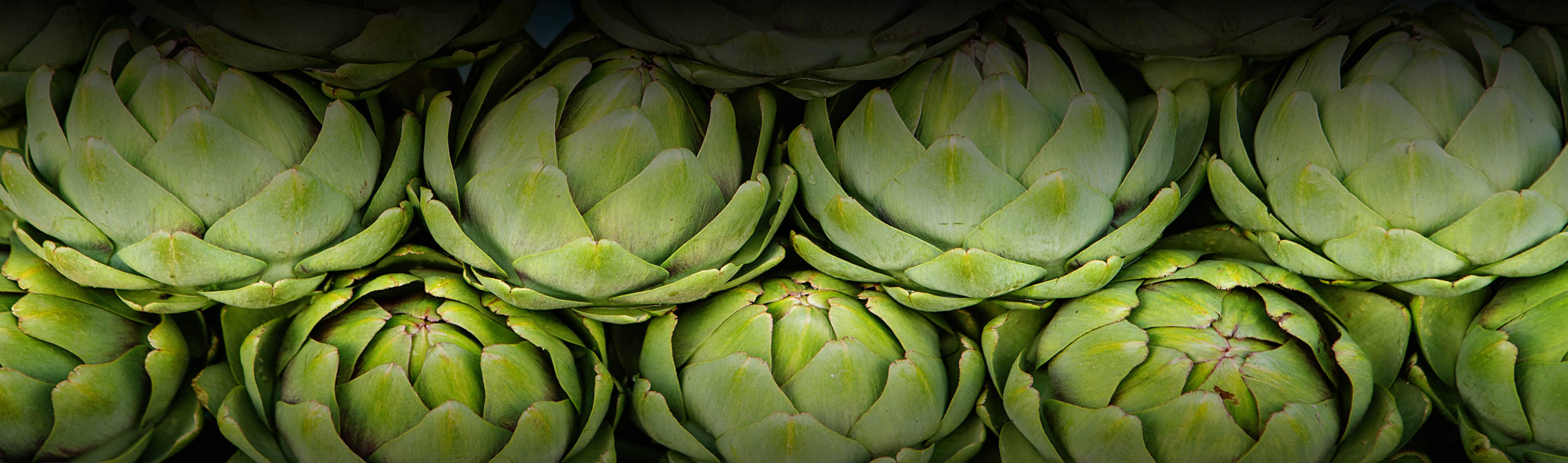 Superfood kaufen | EDEL KRAUT Superfood kaufen | EDEL KRAUT