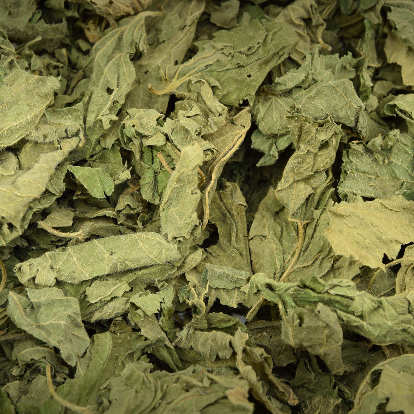 Getrocknete Brennnesselblätter in Bio-Qualität - schonend getrocknete Urtica dioica Blätter mit natürlicher Farbe Brennnesselblätter - BIO Brennnesseltee