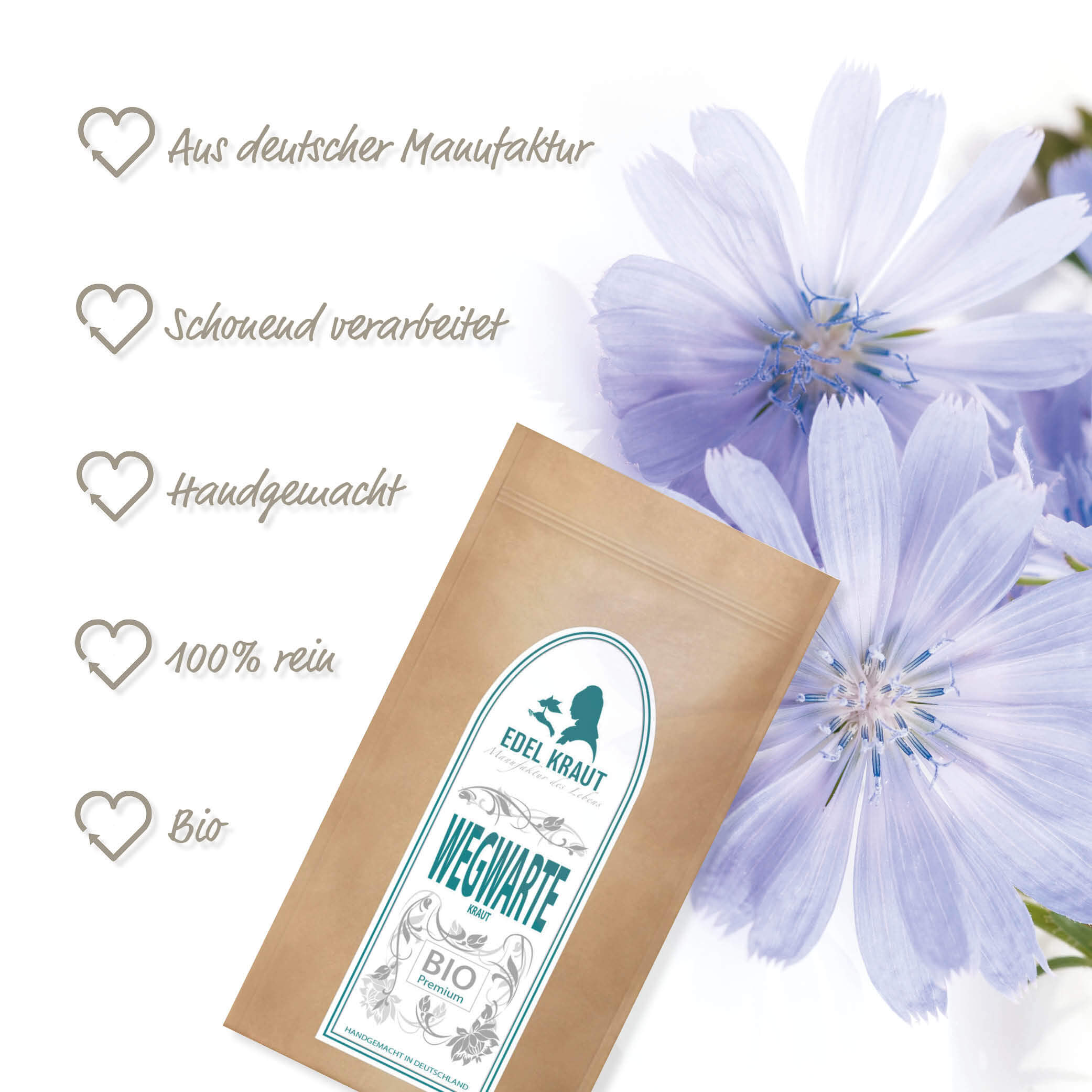 BIO Wegwarte Tee | Wegwartenkraut 100g Tüte BIO Wegwarten Tee