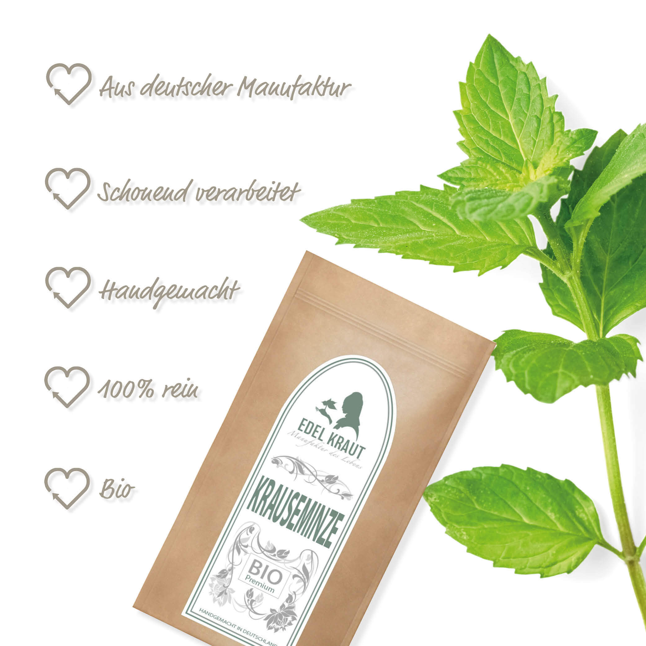 BIO Krauseminze Tee | Krauseminzblätter 100g Tüte bio-krauseminze-tee