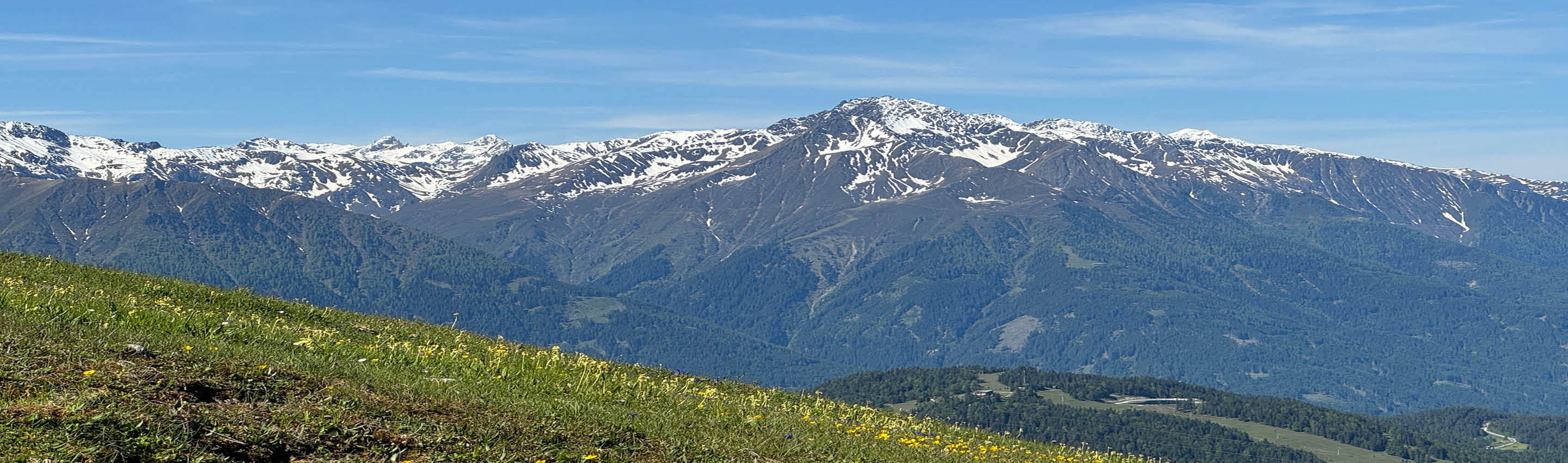 Schlüsselblume & Wildkräuter bestimmen – inspiriert von der Natur der Berge Bergwiese mit Wildkräutern und Schlüsselblumen vor alpiner Kulisse – 100% naturrein
