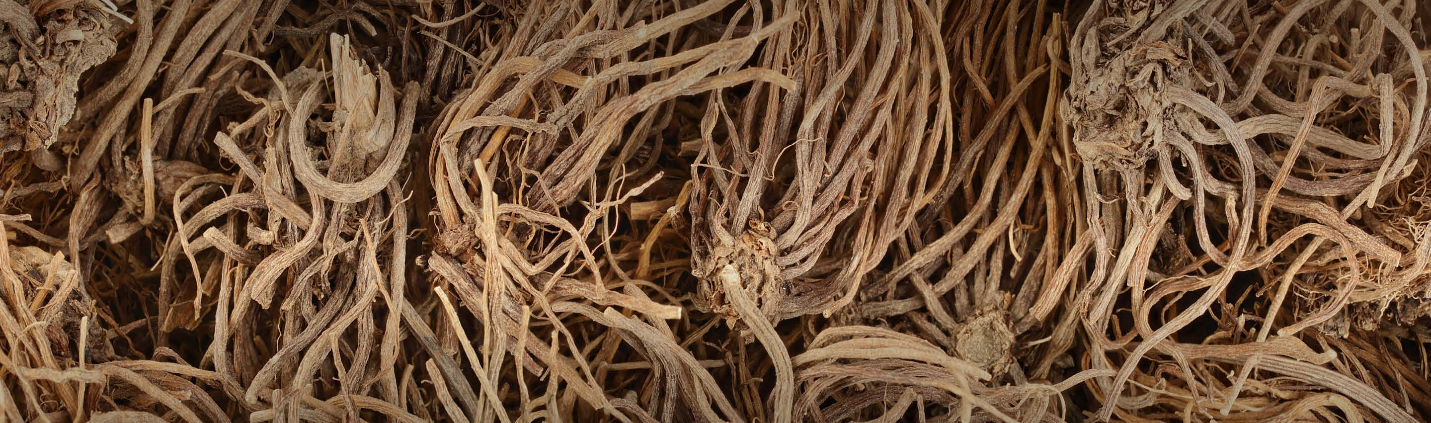 Baldrian kaufen – Premium Qualität Detailaufnahme getrockneter Baldrianwurzeln mit feinen, hellbraunen Fasern – 100% naturrein