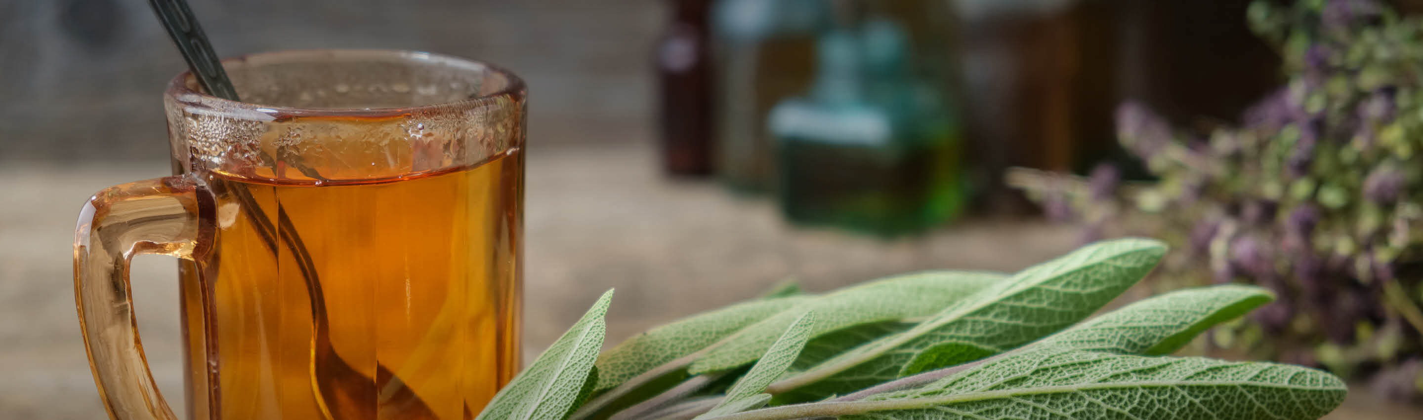 Salbeikraut Anwendung – vielseitig & aromatisch Frische Salbeiblätter und Tee – Anwendung von Bio Salbei im Alltag