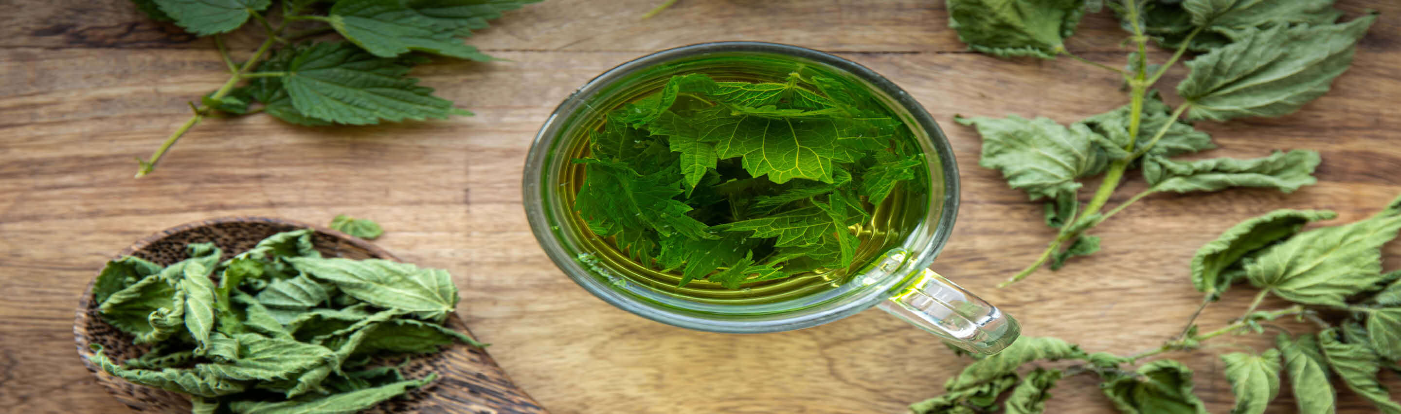 Brennnesseltee von oben - Glastasse mit Aufguss neben getrockneten und frischen Urtica dioica Blättern auf Holztisch BIO Brennnesseltee - vom Blatt in die Tasse | EDEL KRAUT