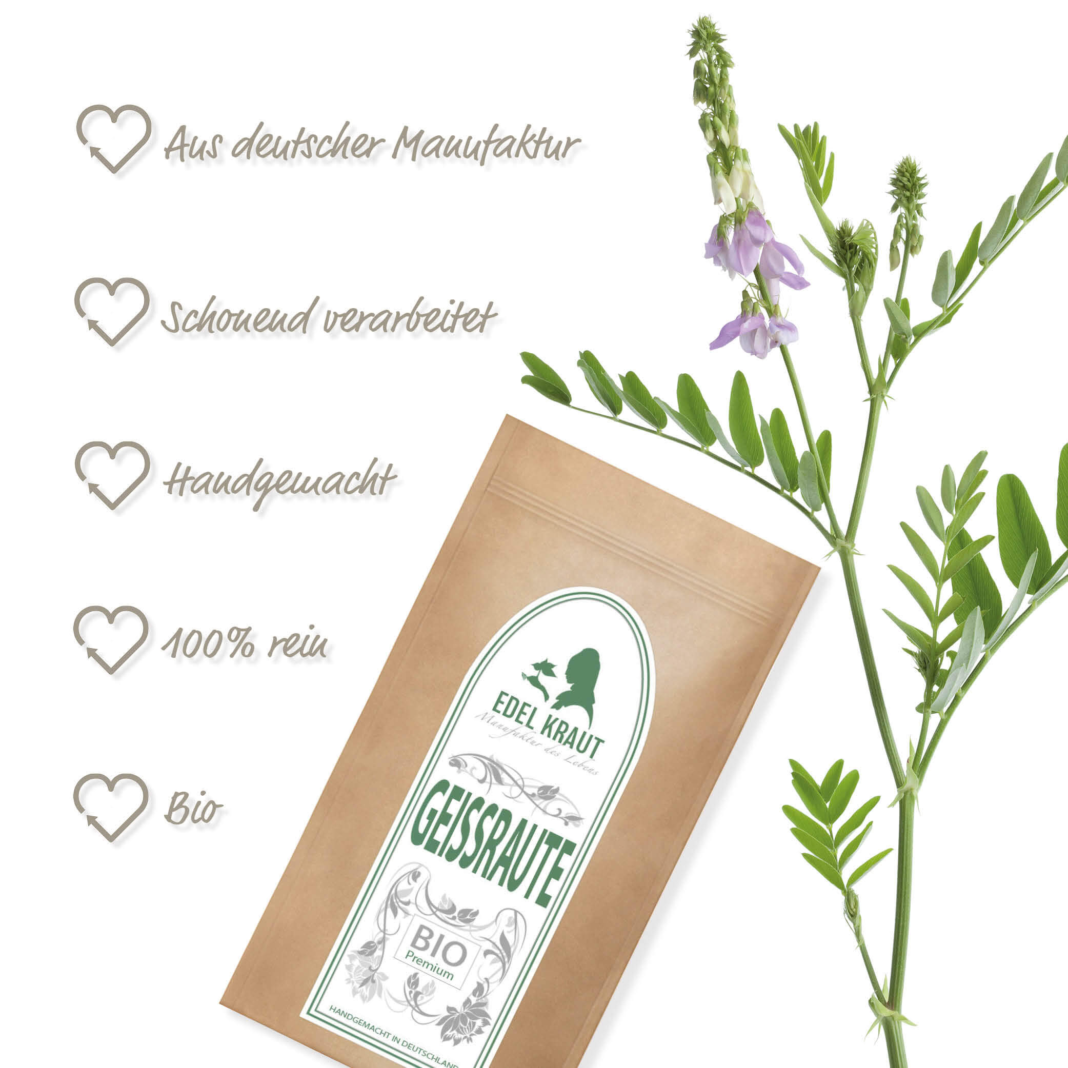 BIO Geißraute Tee | Geißrautenkraut 100g Tüte BIO Geissrauten Tee