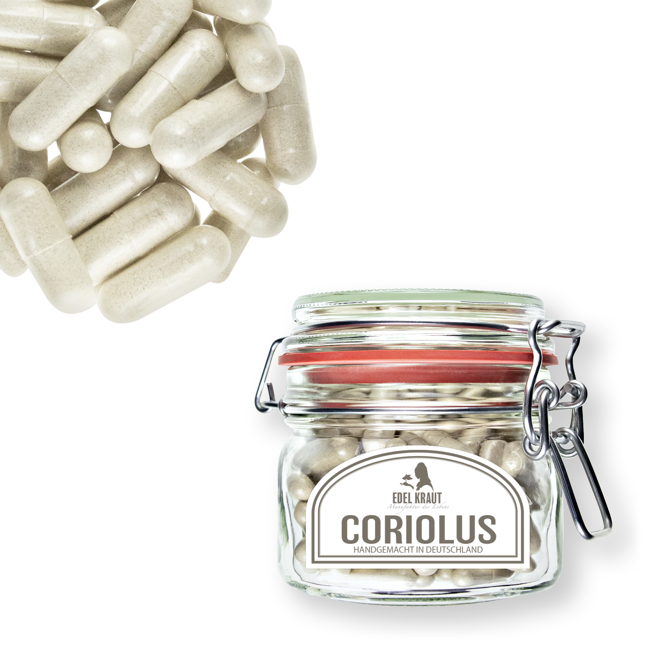 BIO CORIOLUS Kapseln BIO CORIOLUS Kapseln