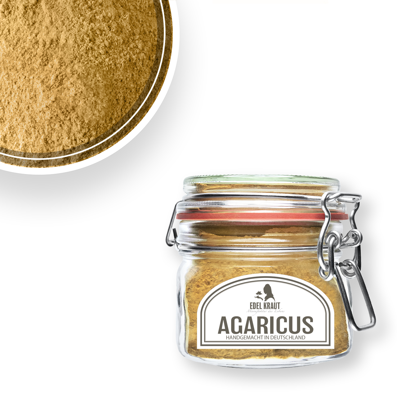 AGARICUS AGARICUS