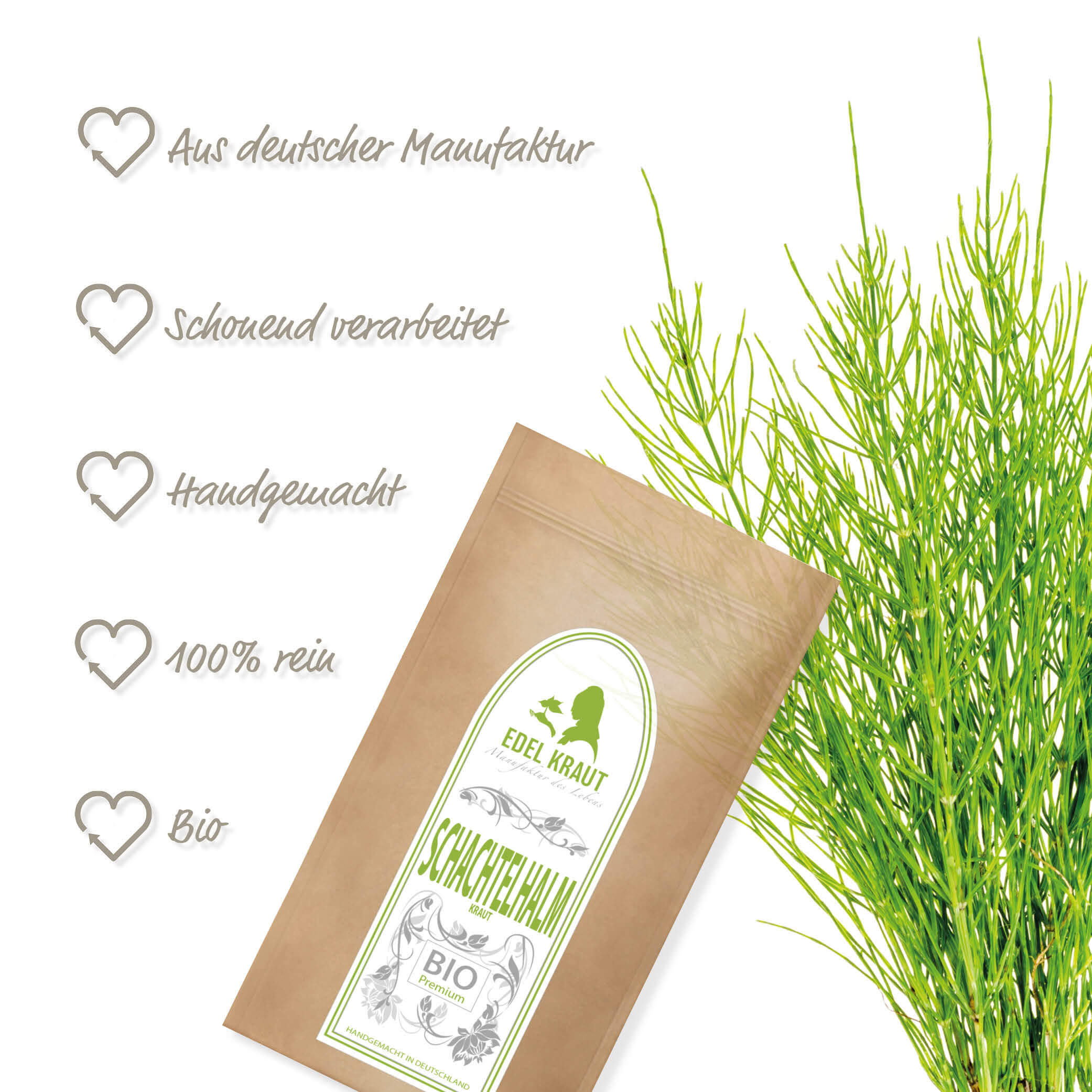 BIO Schachtelhalm Tee | Schachtelhalmkraut 250g Tüte BIO Schachtelhalm Tee