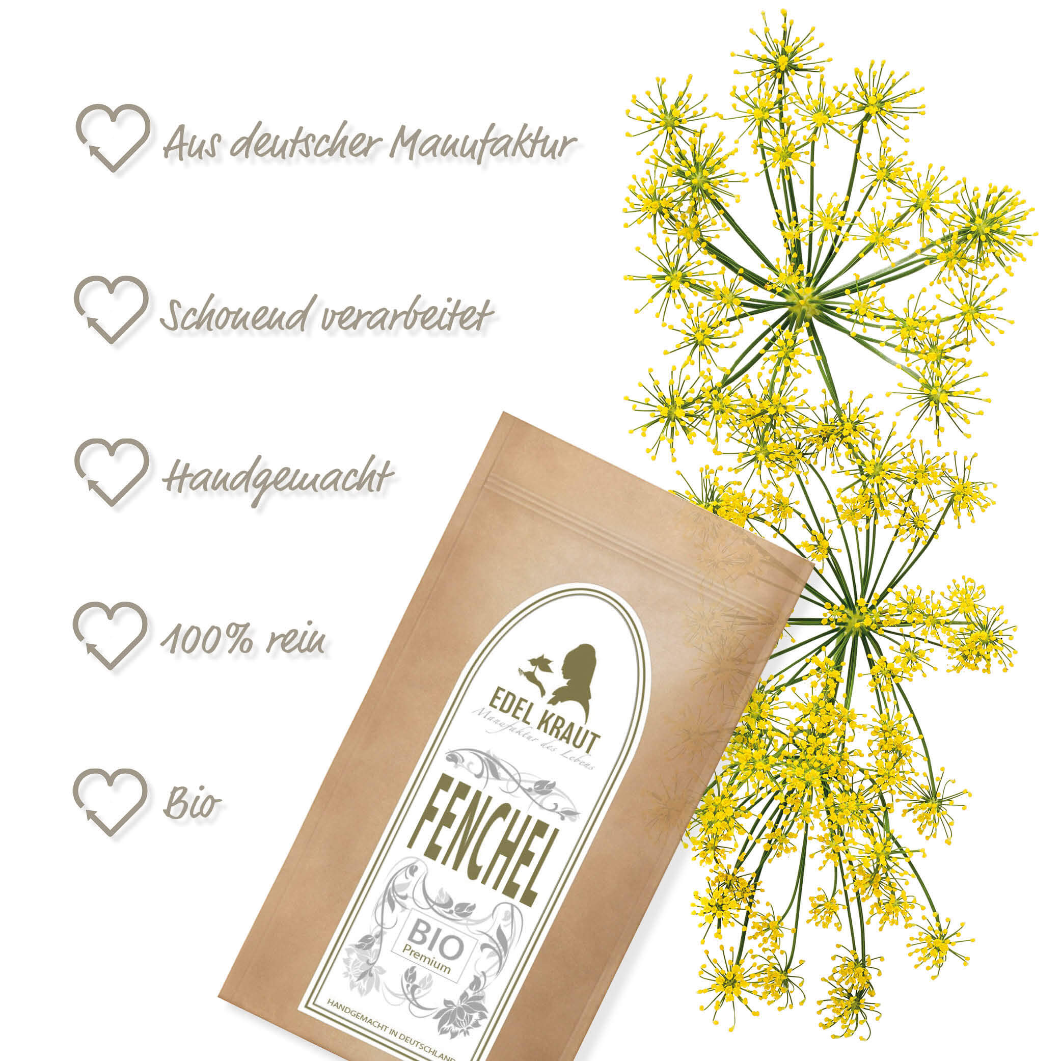 BIO Fenchel Tee (Kammware) XL Dose BIO Fencheltee
