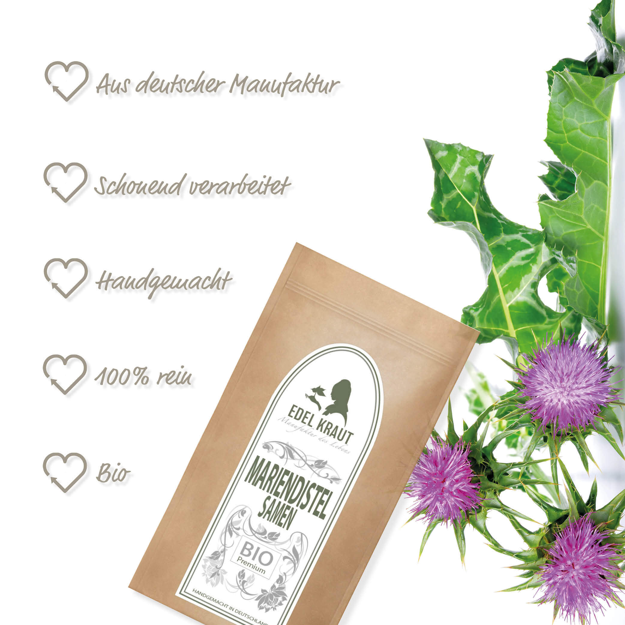 Mariendistel Samen BIO Mariendistelsamen