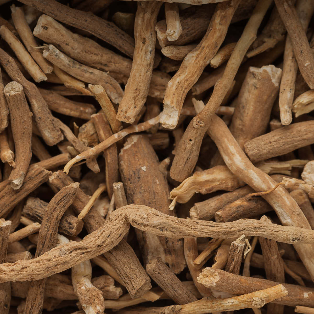Ashwagandha Wurzel BIO - getrocknet für Wurzel-Pulver Getrocknete Ashwagandha-Wurzeln vor der Vermahlung - der Rohstoff aus indischer Bio-Landwirtschaft, sortenrein verarbeitet bei EDEL KRAUT.