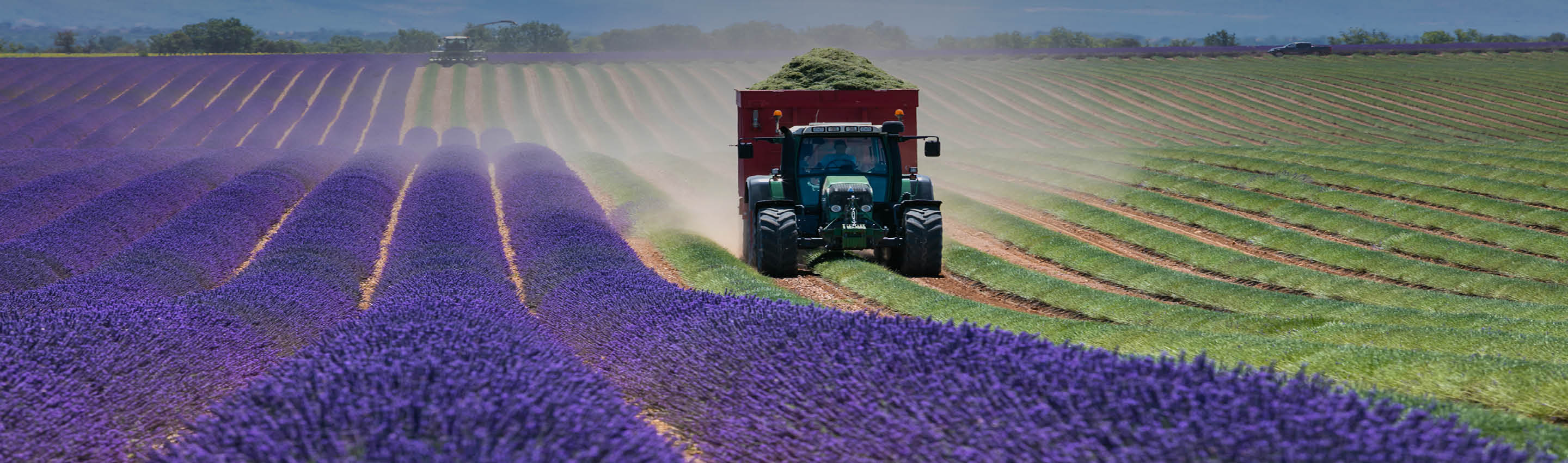 Bio-Anbau & EU-Zertifizierung – EDEL KRAUT als kontrollierter Bio-Importeur EU-zertifizierte Bio-Landwirtschaft für EDEL KRAUT