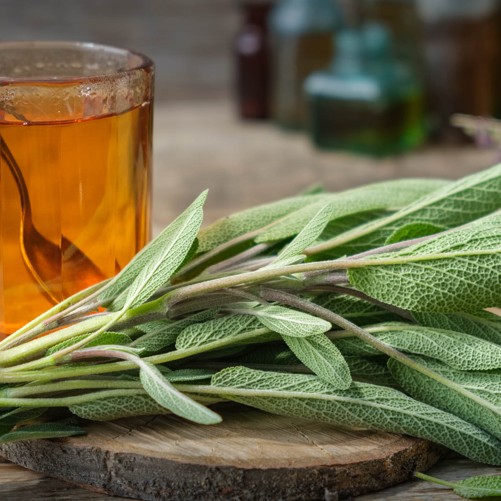 Salbeikraut Bio – Genuss & Natürlichkeit Salbeiblätter neben Tasse Tee – aromatischer Genussmoment mit Bio Salbei