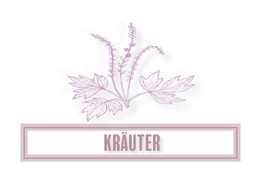 edel-kraut-kraeuter-sortiment edel-kraut-kraeuter-sortiment