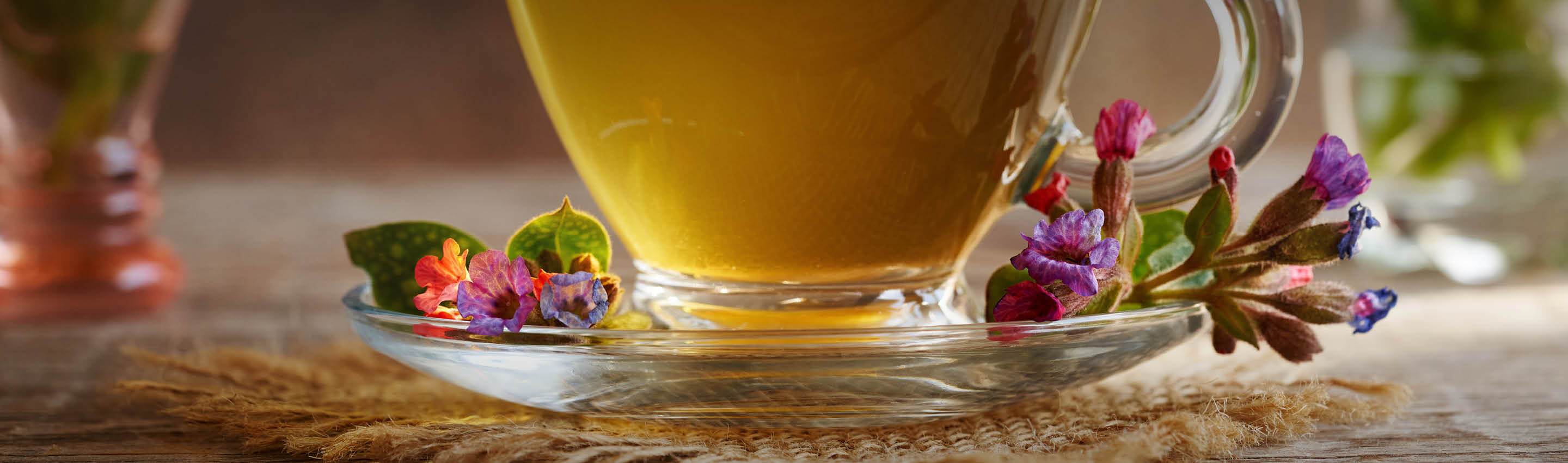 Lungenkraut Bio kaufen – Tee-Aufguss aus handverlesenem Kraut | EDEL KRAUT Lungenkraut Bio kaufen – goldener Teeaufguss in Glas mit Blüten von EDEL KRAUT