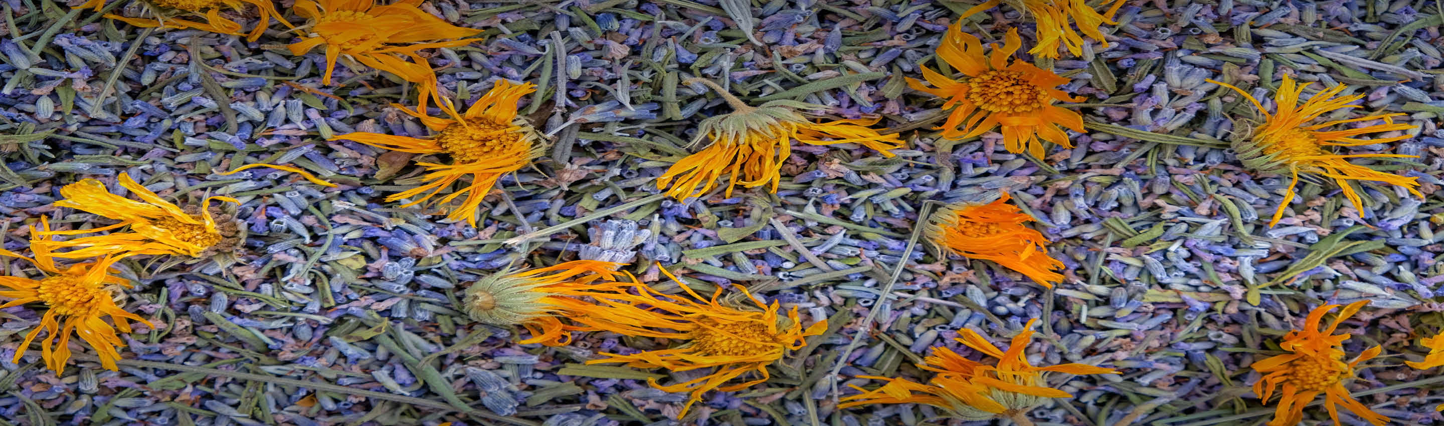 Ringelblume kaufen – Premium Qualität für natürliche Anwendungen Ringelblumenblüten auf Kräutermischung – Premium Qualität