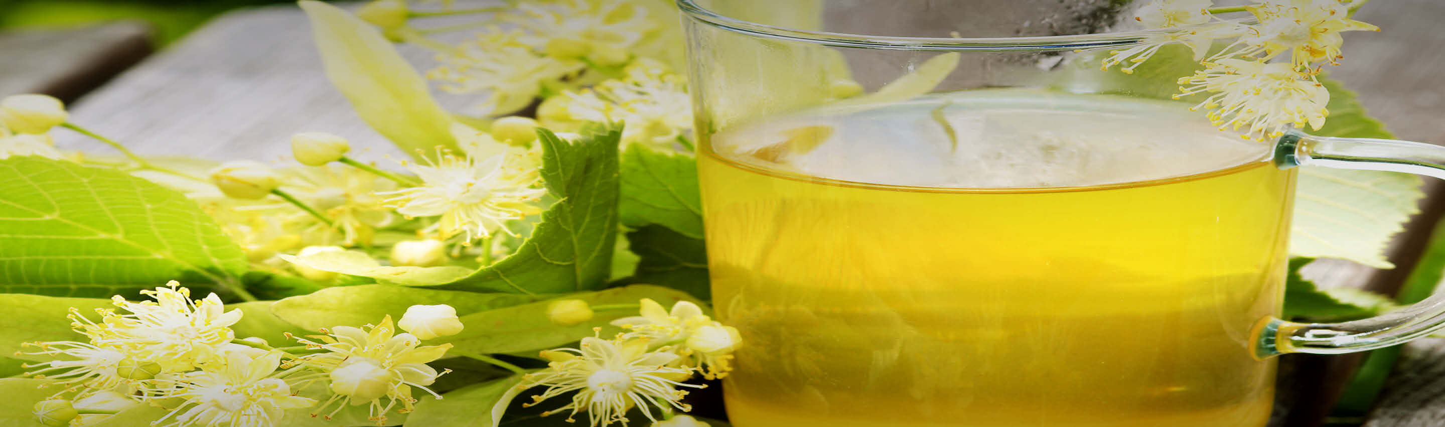 Lindentee in Glastasse mit frischen Lindenblüten - goldgelber Aufguss umgeben von Blüten und Hochblättern der Tilia Lindentee Tradition - natürlicher Genuss | EDEL KRAUT