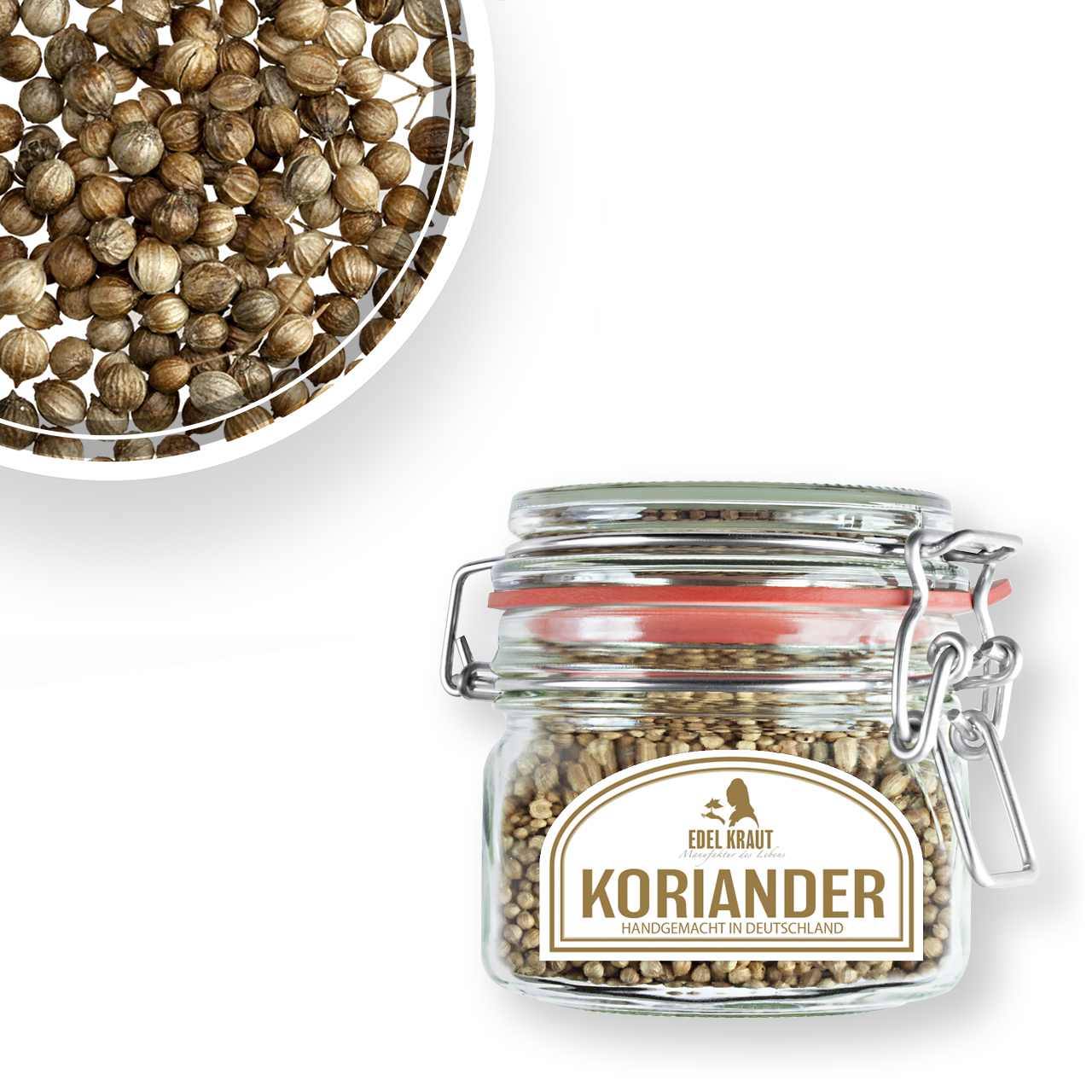 BIO Koriander BIO Koriander