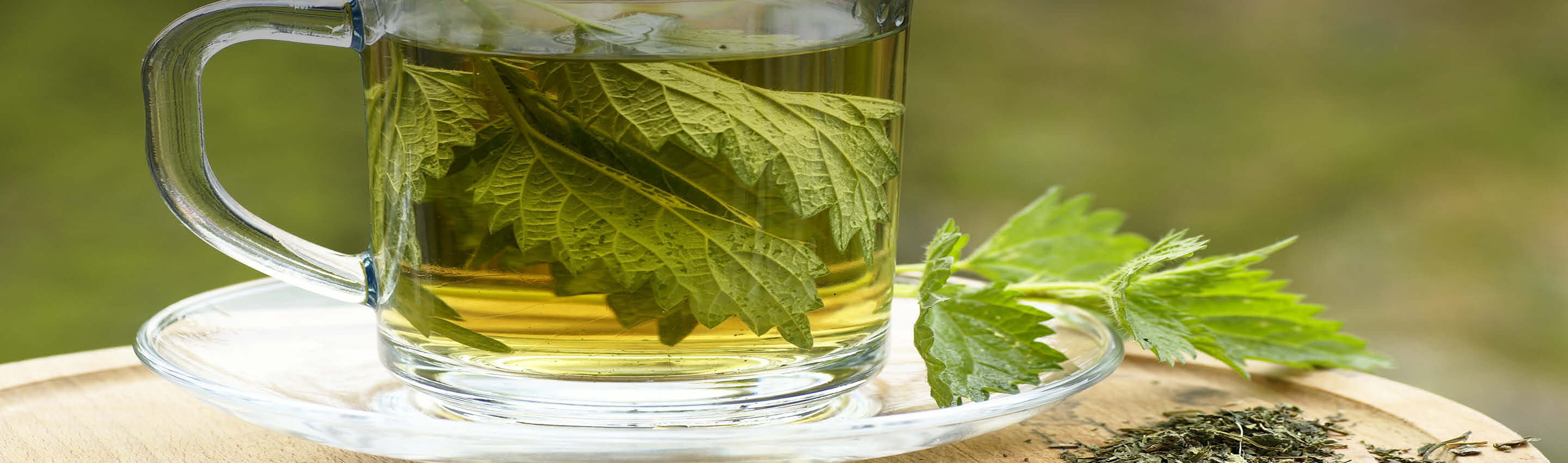 Brennnesseltee in Glastasse mit frischen Blättern - goldgelber Aufguss von Urtica dioica neben getrocknetem Kraut Brennnesseltee - Zubereitung & Genuss | EDEL KRAUT