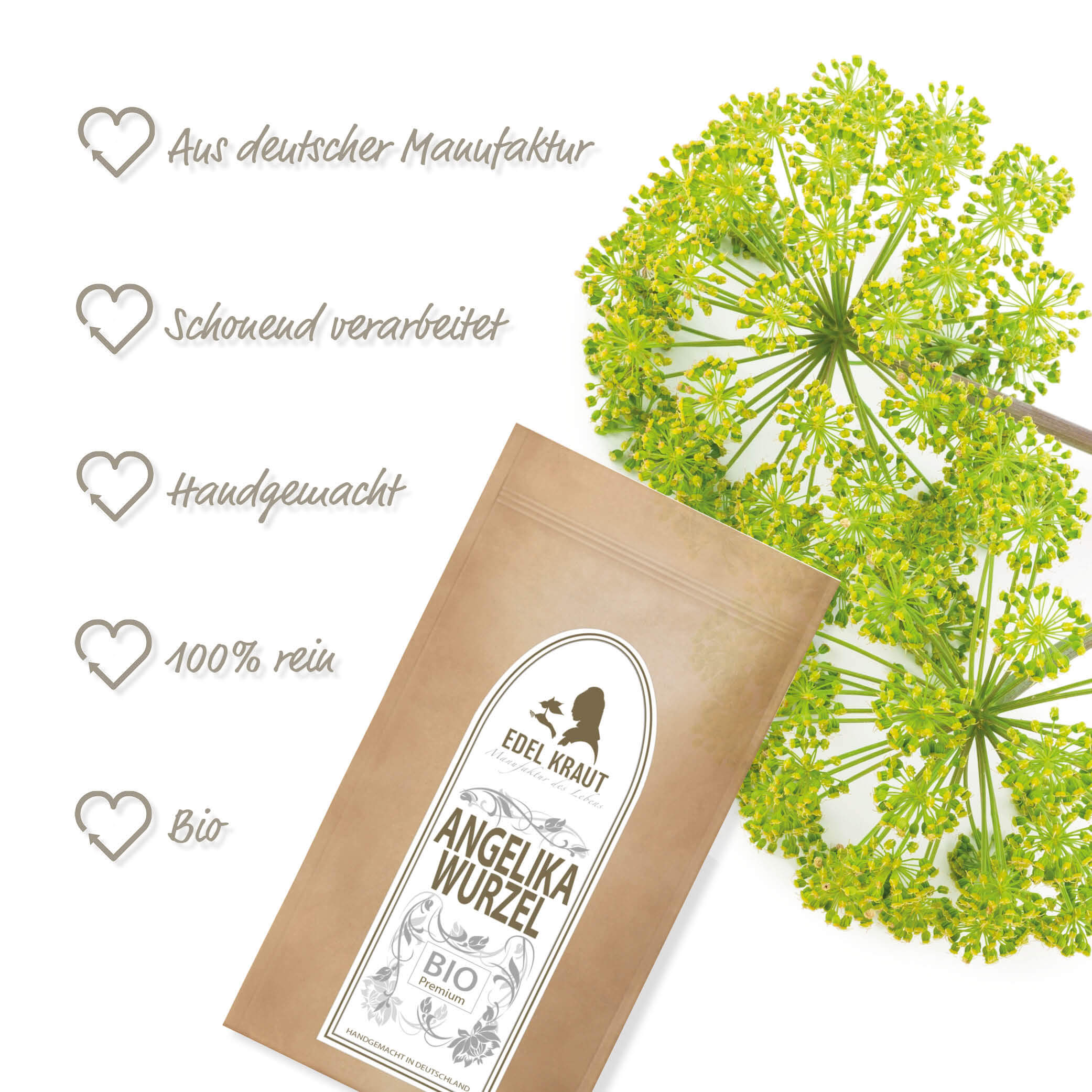 BIO Angelikawurzel Tee 100g Tüte BIO Angelikawurzel Tee Vorteile