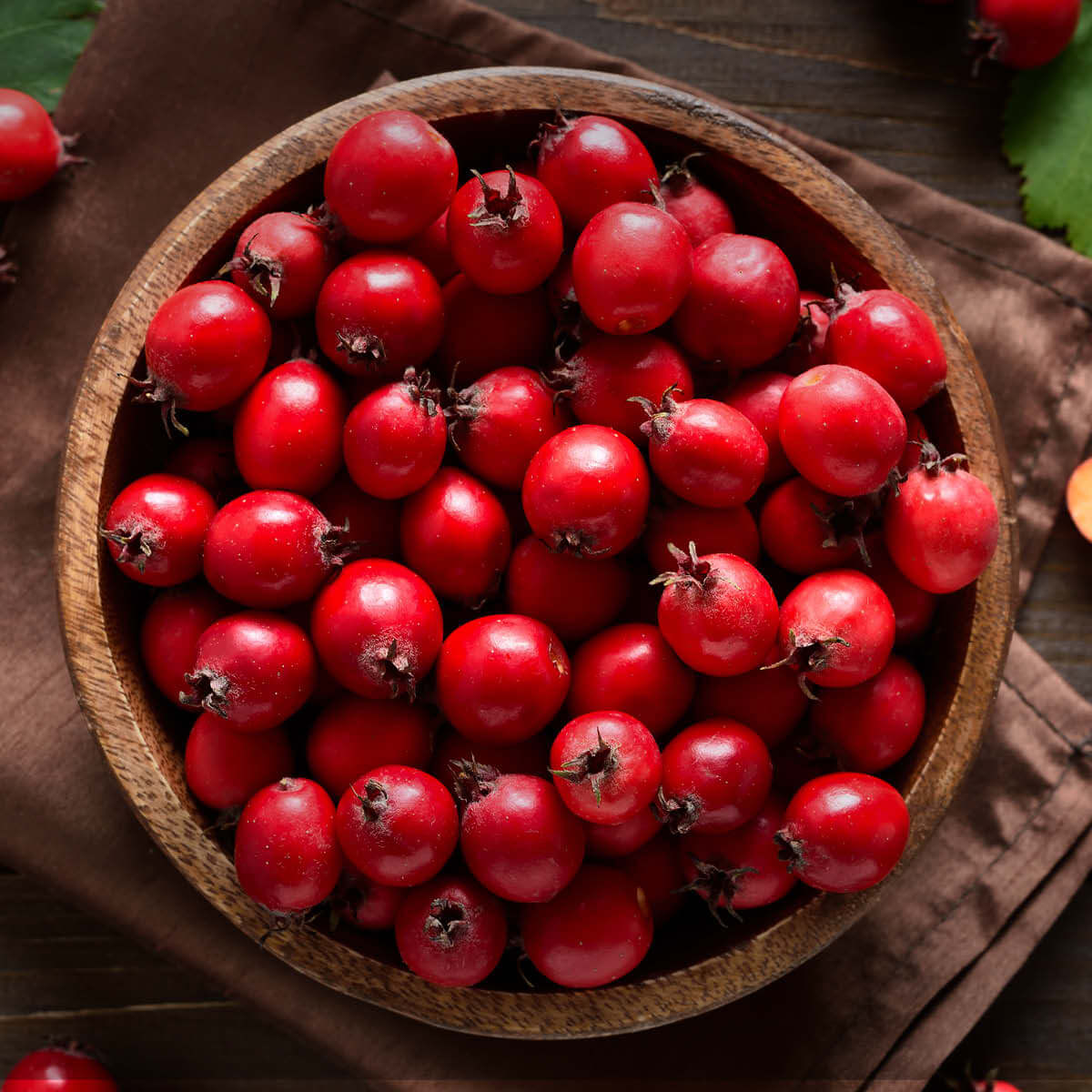 Weißdornbeeren BIO - vollreife Früchte EDEL KRAUT Vollreife Weißdornbeeren in der Holzschale - tiefrote Früchte (Crataegus monogyna) im Naturzustand, Rohstoff aus heimischem Anbau.