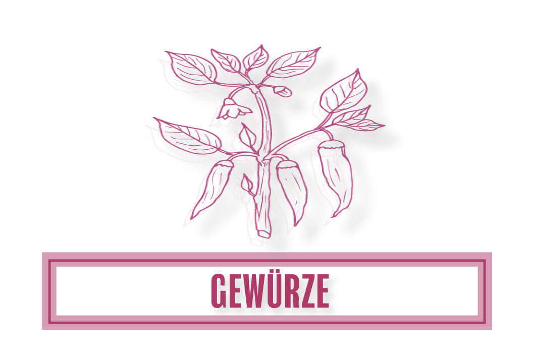 edel-kraut-bio-gewurz-sortiment edel-kraut-bio-gewurz-sortiment
